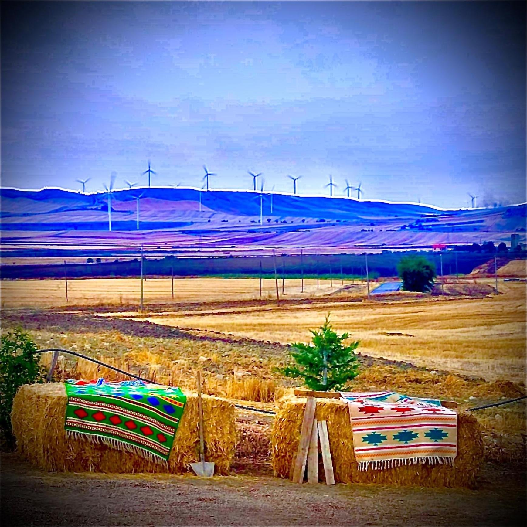 Antica Masseria Il Casone Candela Dış mekan fotoğraf