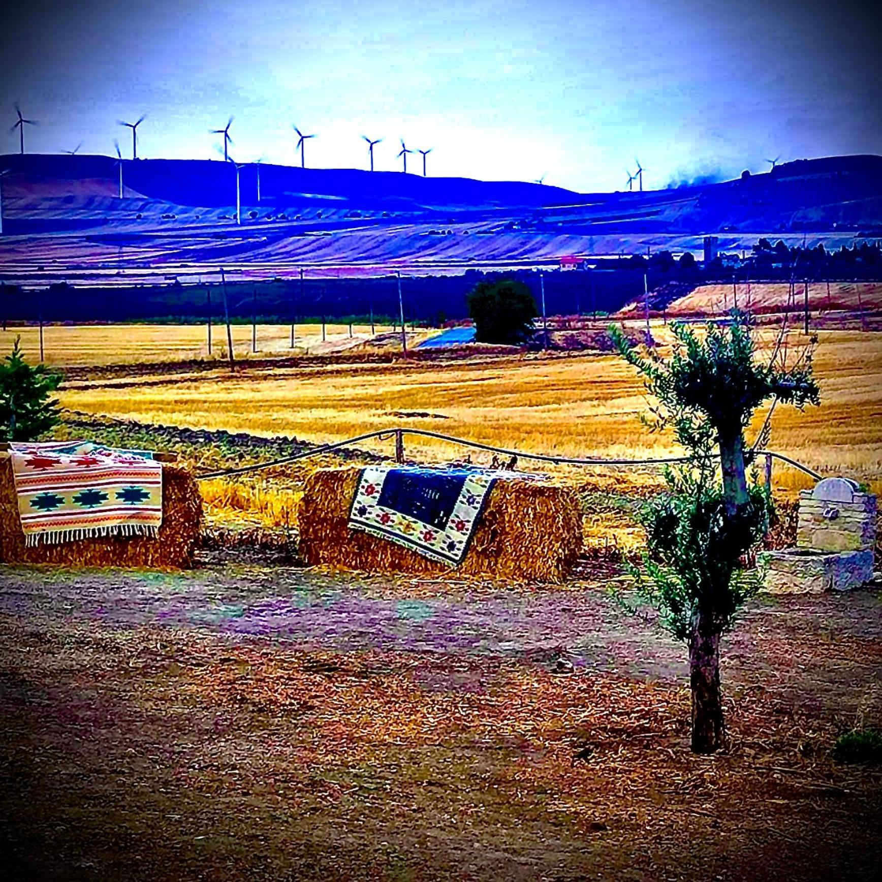 Antica Masseria Il Casone Candela Dış mekan fotoğraf
