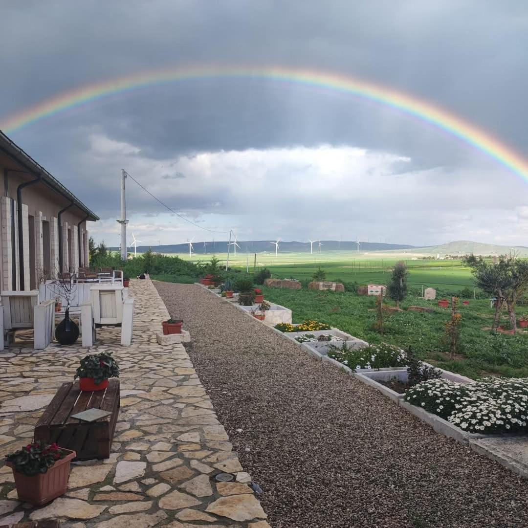 Antica Masseria Il Casone Candela Dış mekan fotoğraf